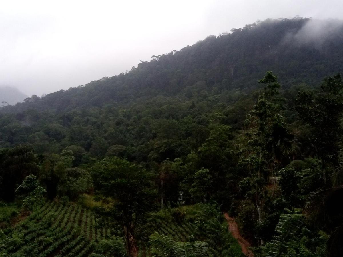 Evergreen Villa - Sinharaja Deniyaya Buitenkant foto