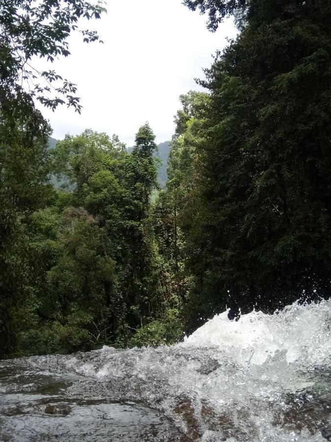 Evergreen Villa - Sinharaja Deniyaya Buitenkant foto