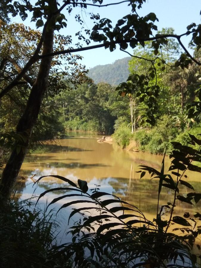 Evergreen Villa - Sinharaja Deniyaya Buitenkant foto