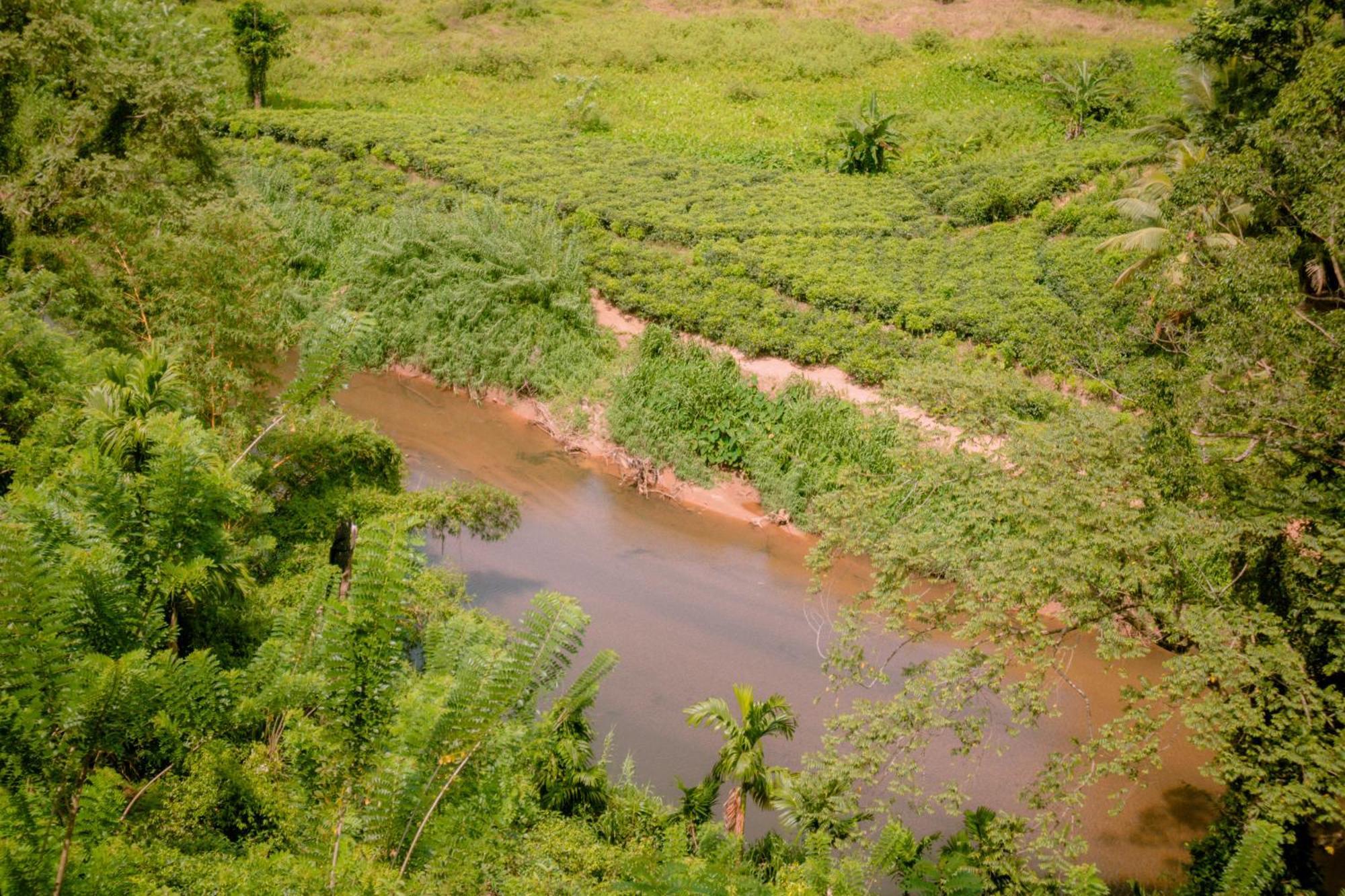 Evergreen Villa - Sinharaja Deniyaya Buitenkant foto
