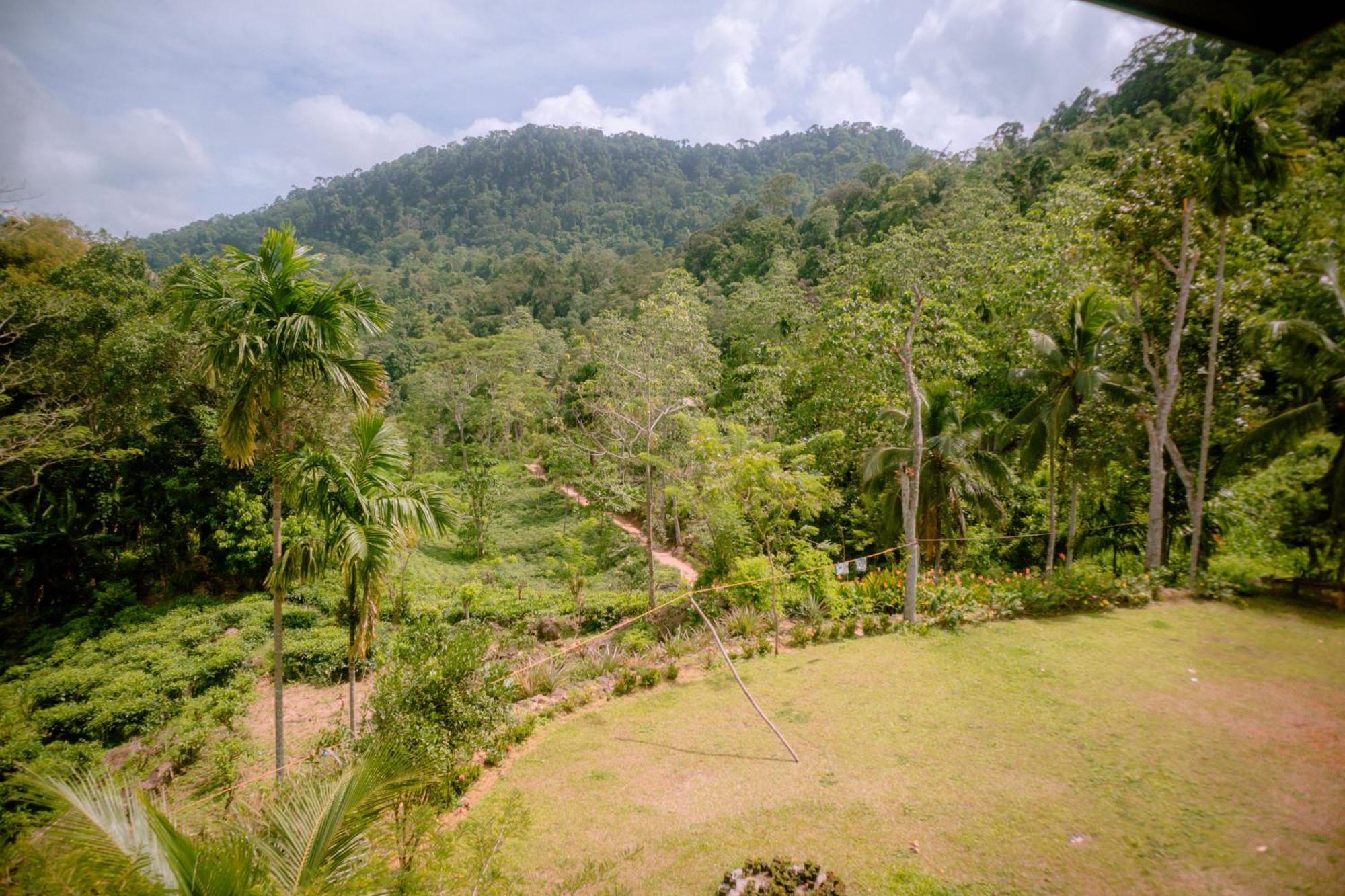 Evergreen Villa - Sinharaja Deniyaya Buitenkant foto
