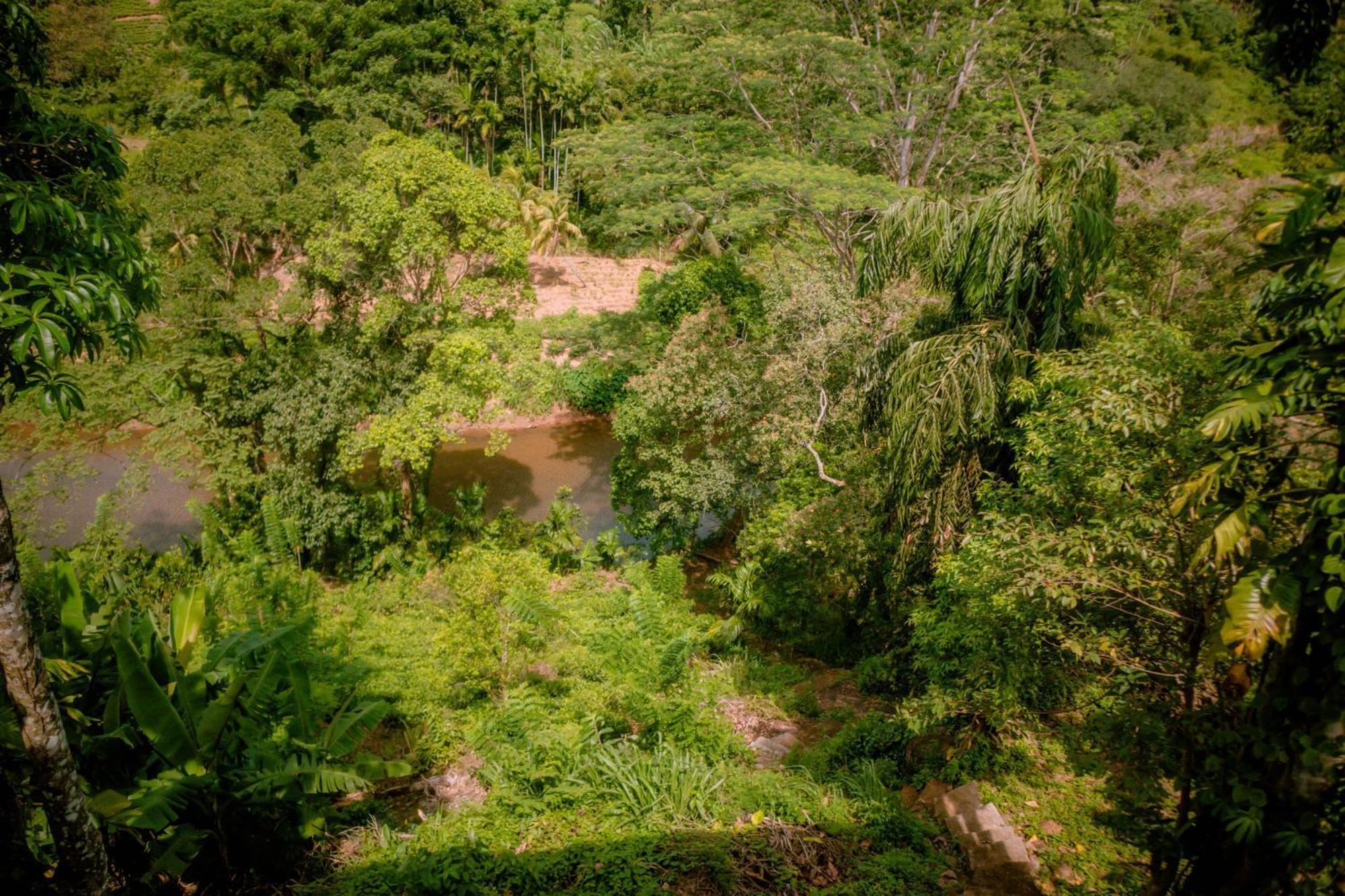 Evergreen Villa - Sinharaja Deniyaya Buitenkant foto