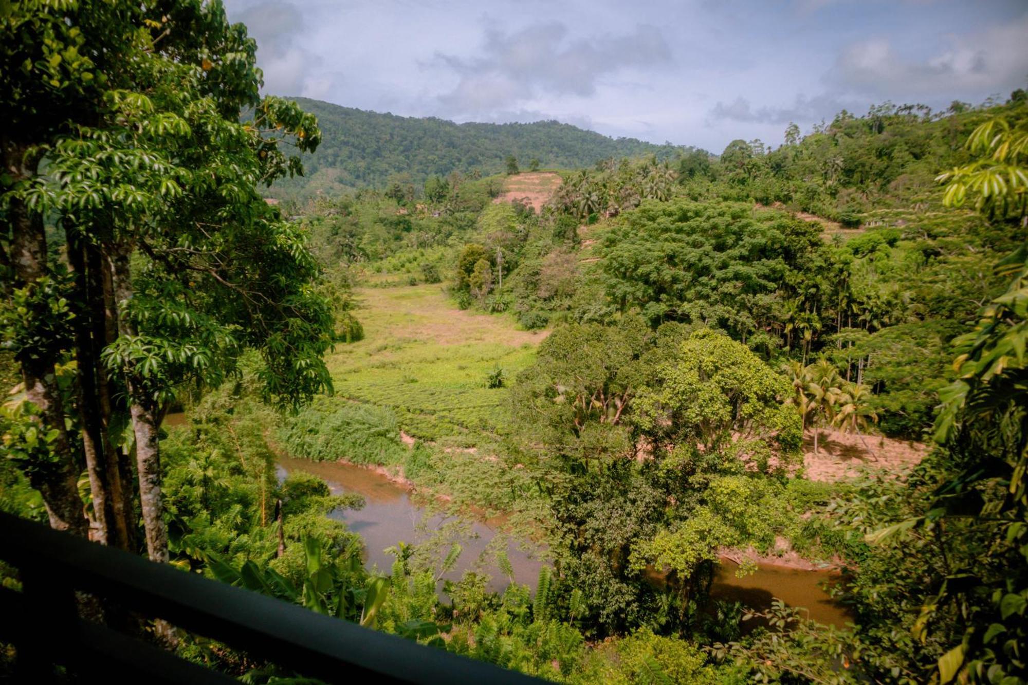 Evergreen Villa - Sinharaja Deniyaya Buitenkant foto