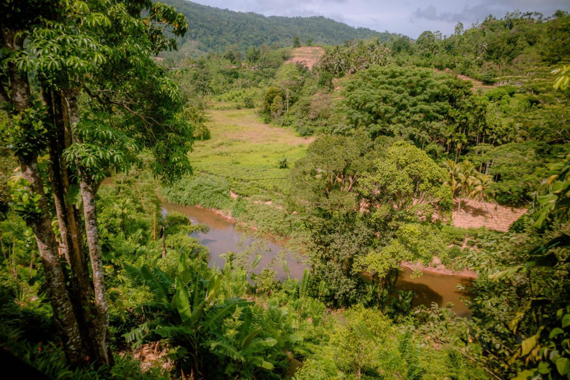 Evergreen Villa - Sinharaja Deniyaya Buitenkant foto