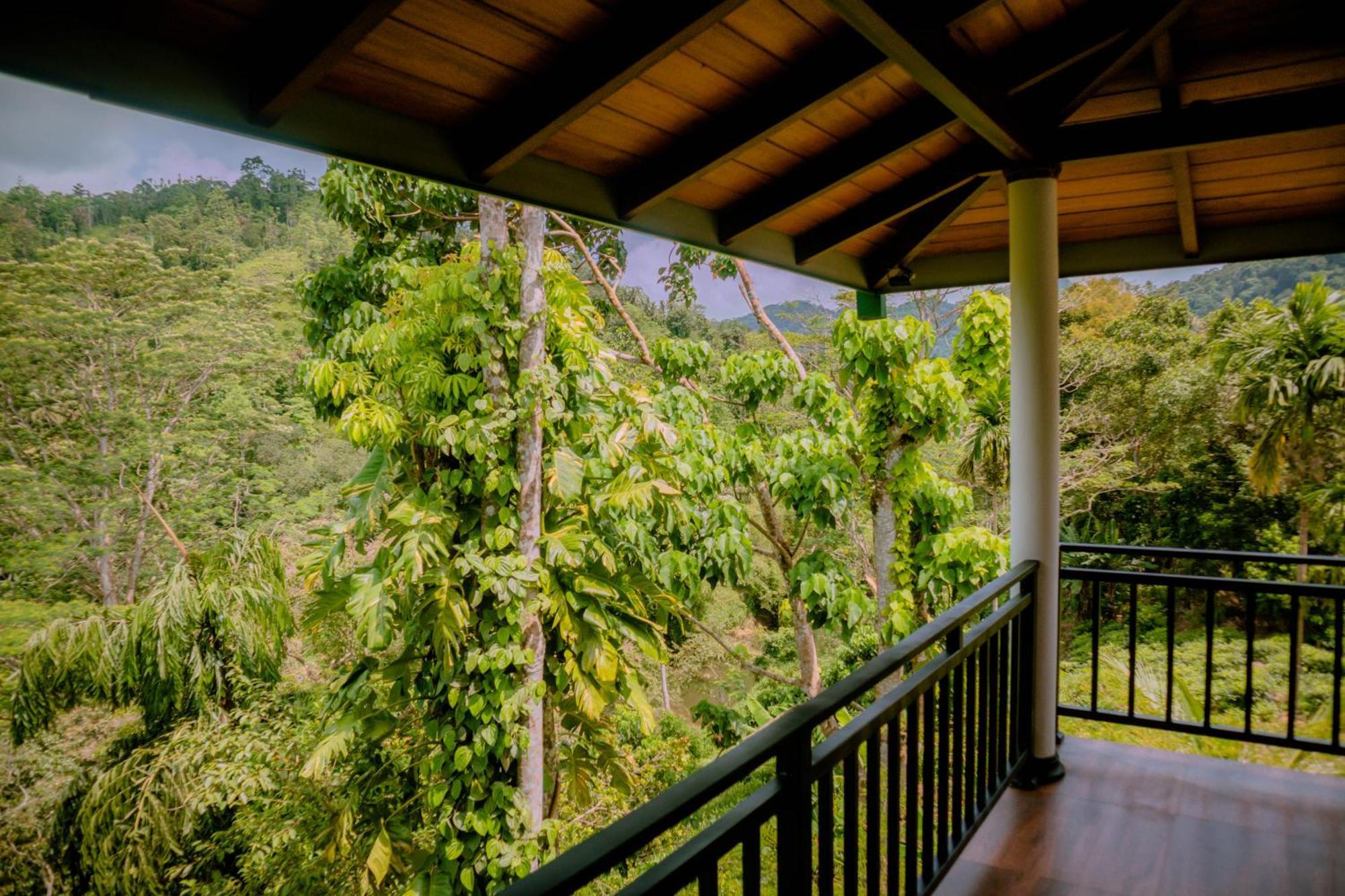 Evergreen Villa - Sinharaja Deniyaya Buitenkant foto